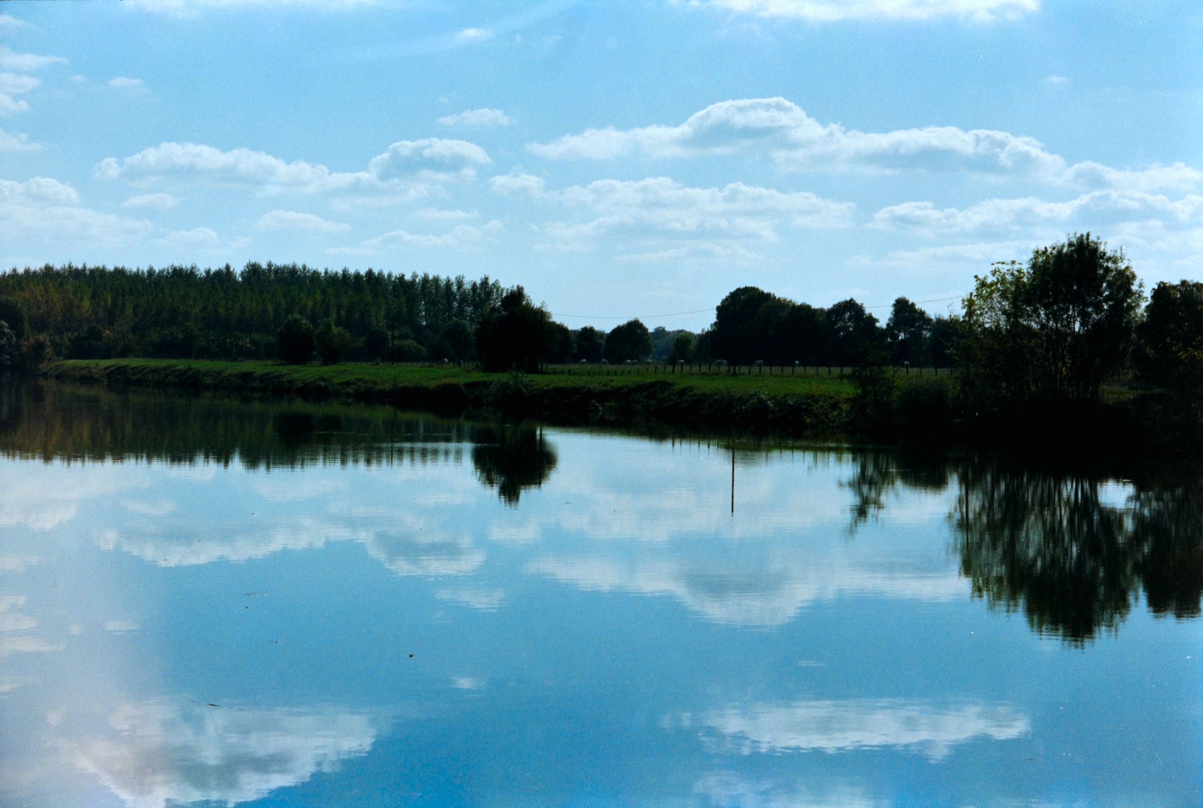 AHP F1990 09 008 sc240829 img17 NLP